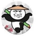 愤怒的熊猫人无限体力版